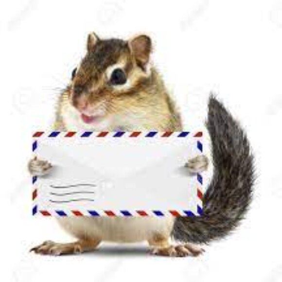Tops - @susanne393  Posh Live Additional Postage Needed as Items exceeded 5lb limit